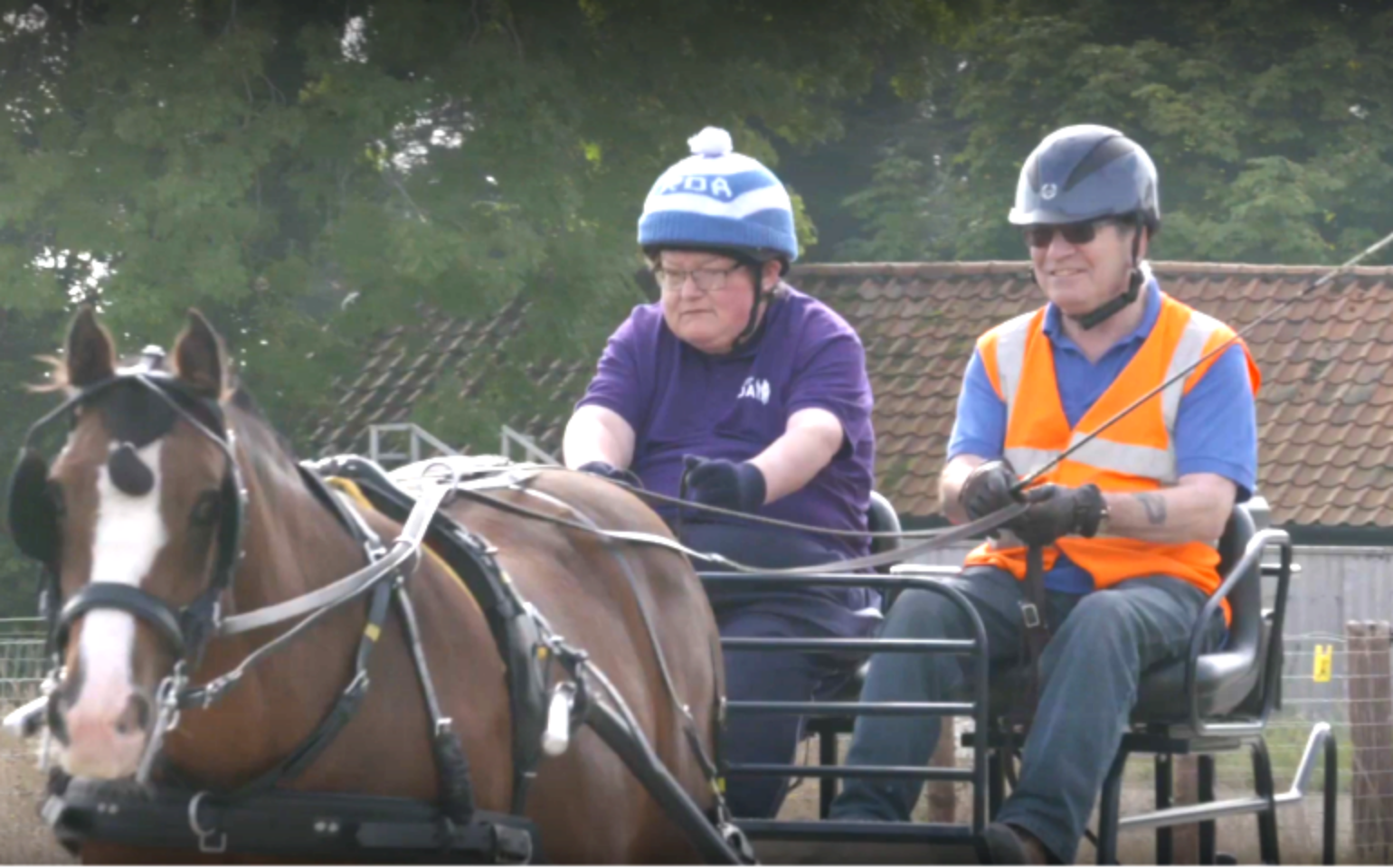 Horse lover Andy gets closer to his favourite animals with supported  carriage lessons from RDA Woodbridge - United Response